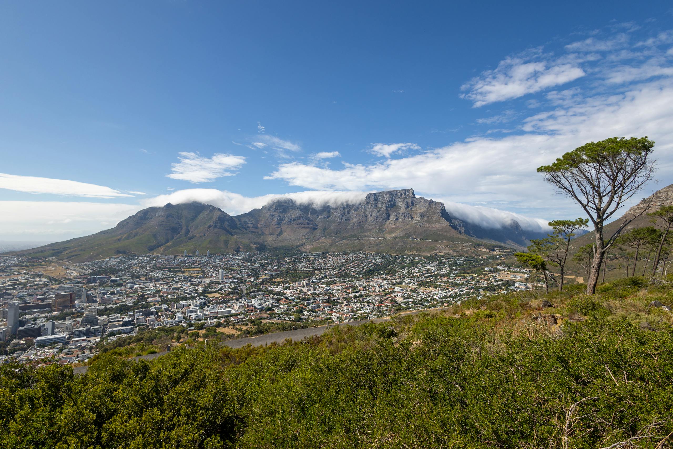 A scenic view of Table Mountain and Cape Town with clear blue skies and lush greenery.